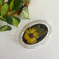 Oval Soap Dish