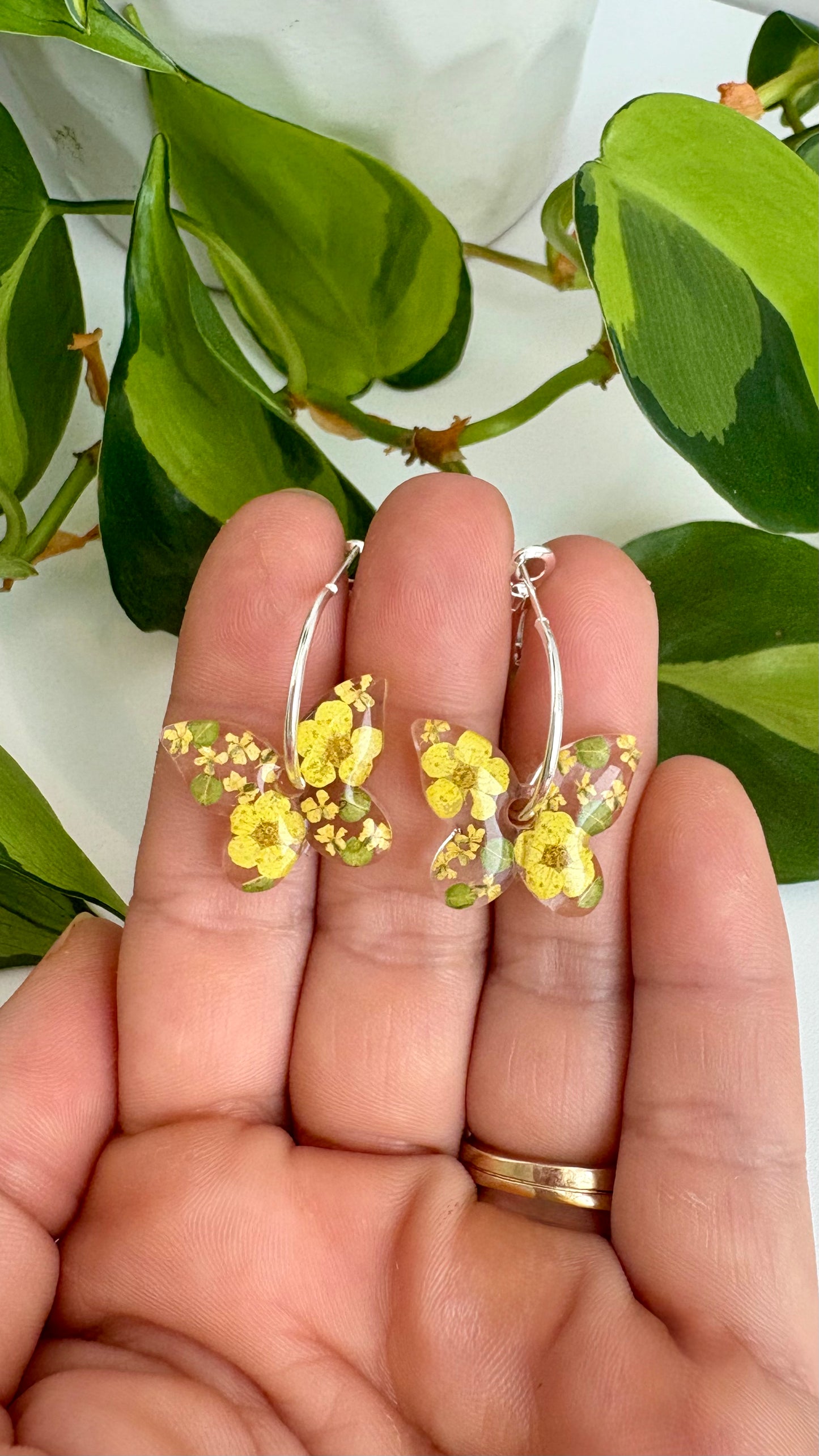Butterfly Hoops