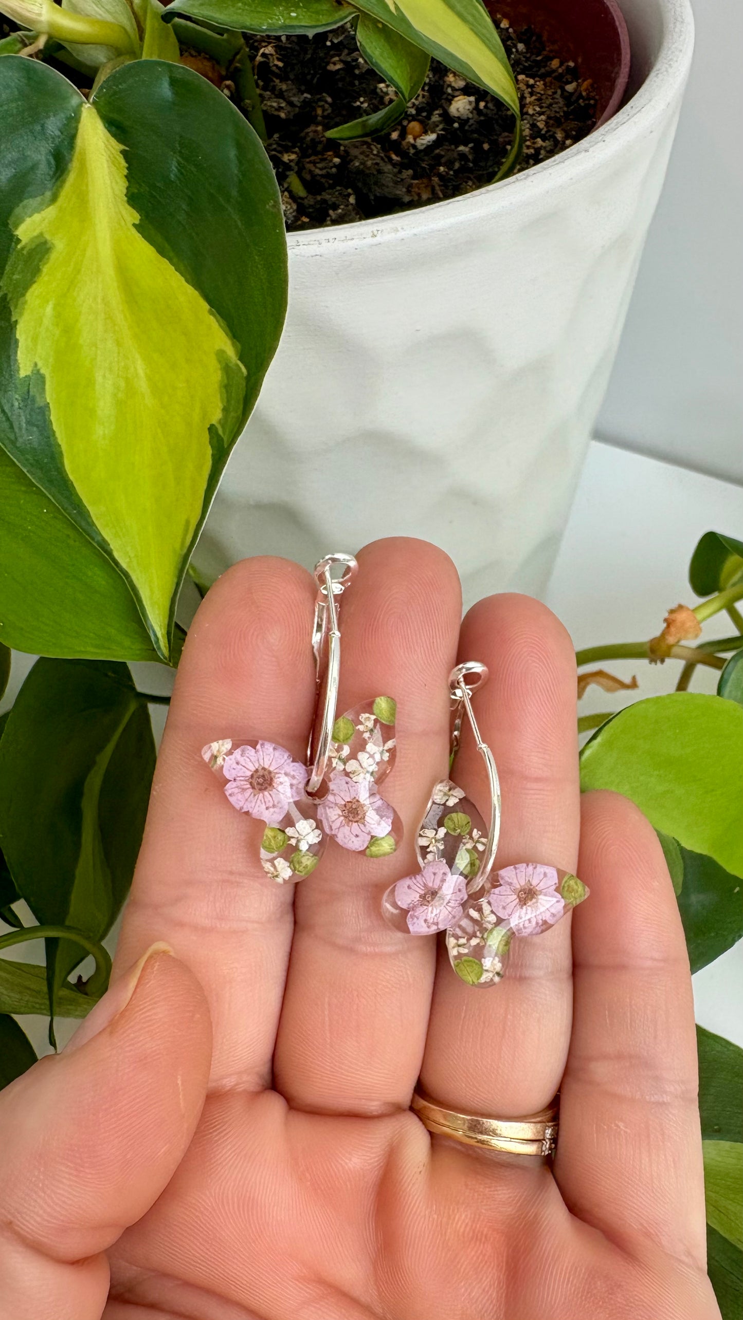 Butterfly Hoops