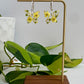 Butterfly Hoops