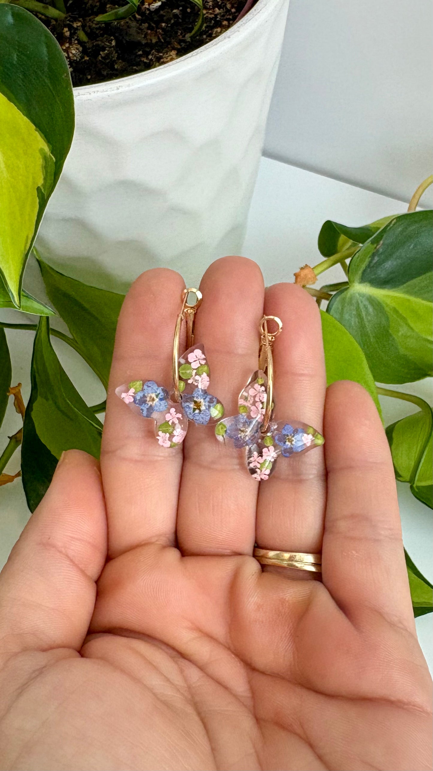 Butterfly Hoops