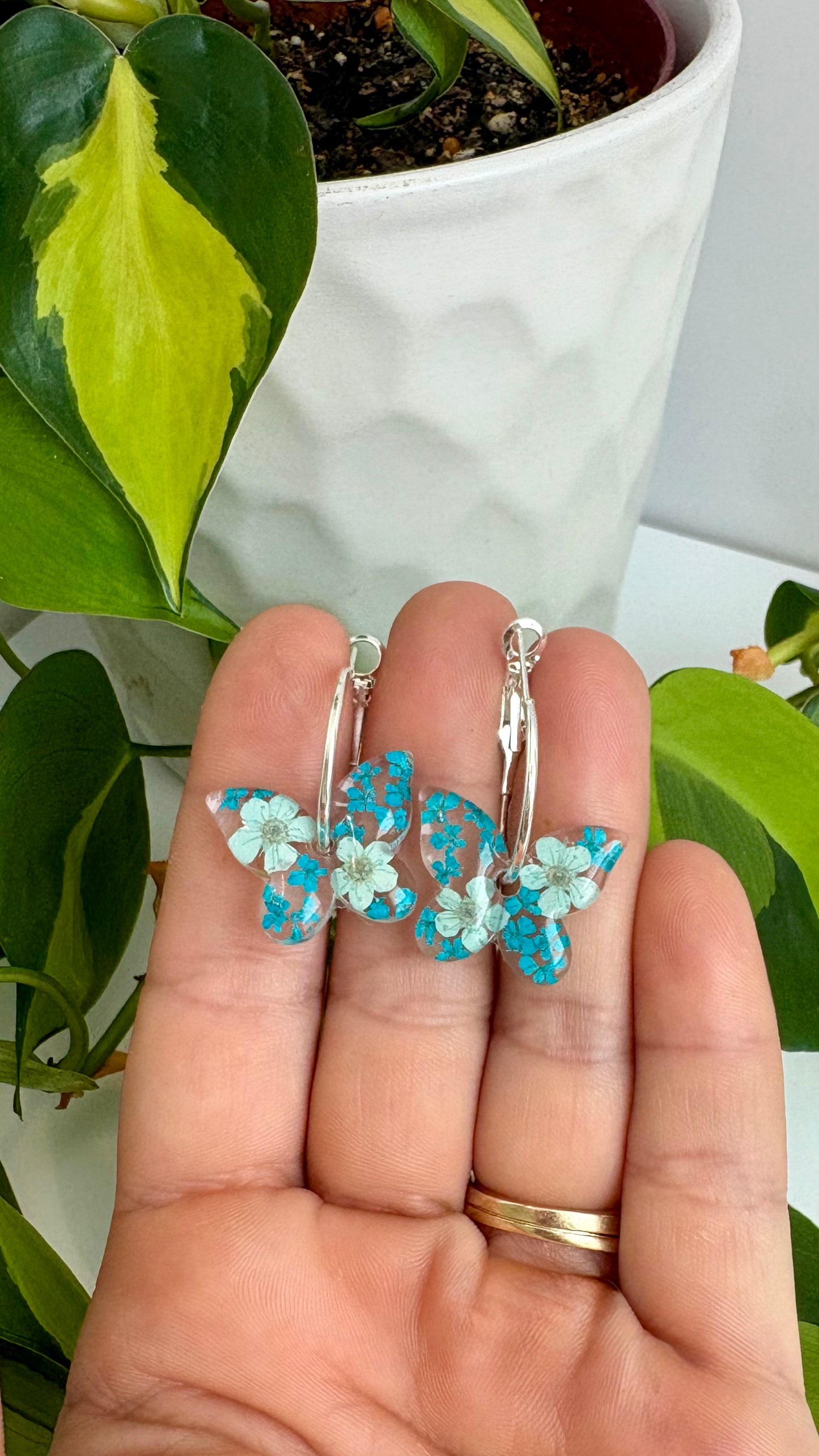 Butterfly Hoops