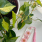 Light Pink Floral Bookmark