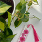 Hot Pink Floral Bookmark