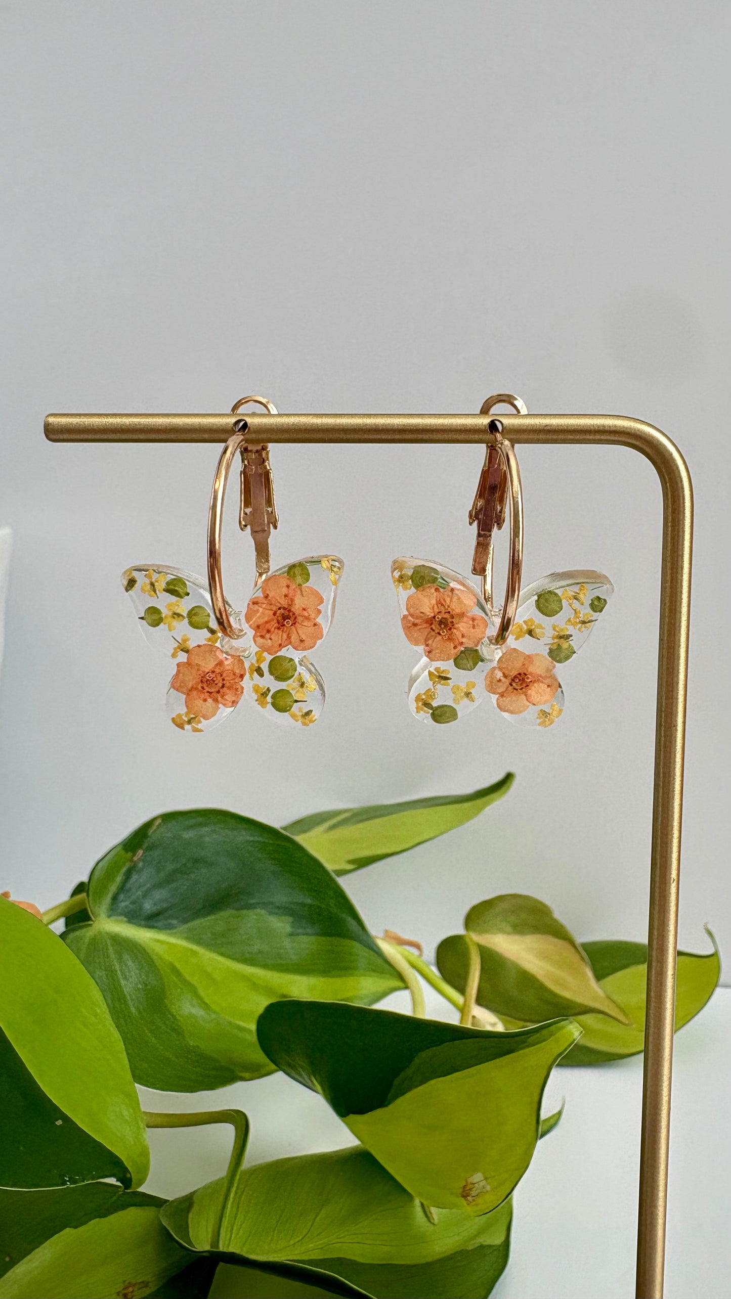 Butterfly Hoops