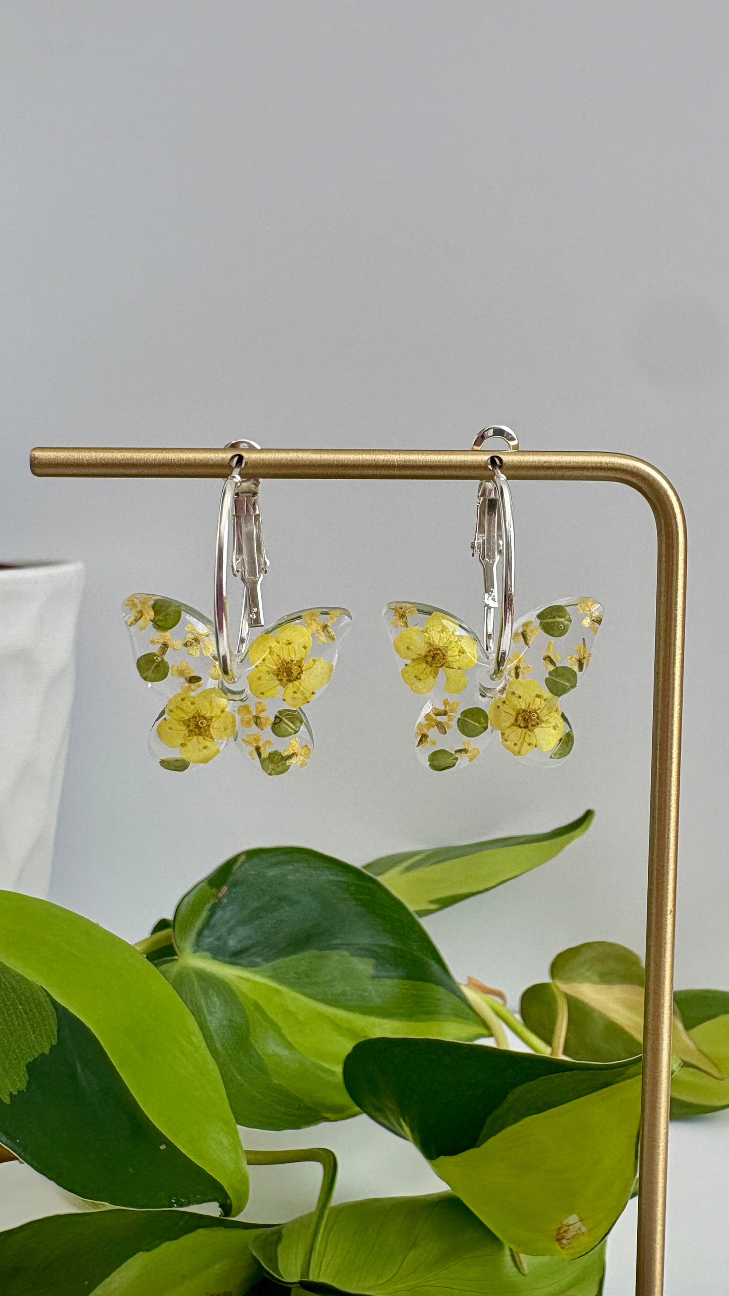 Butterfly Hoops