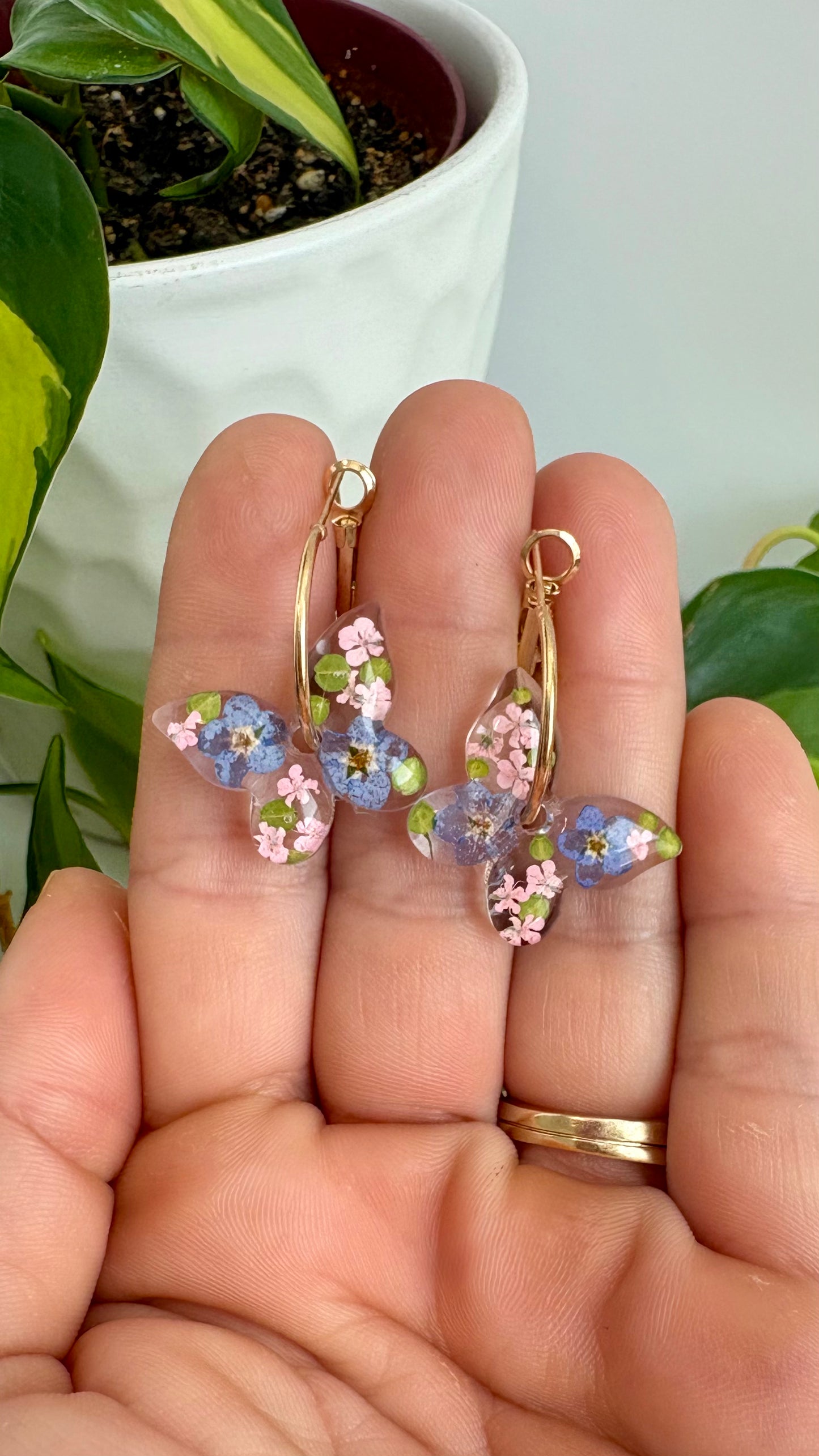 Butterfly Hoops