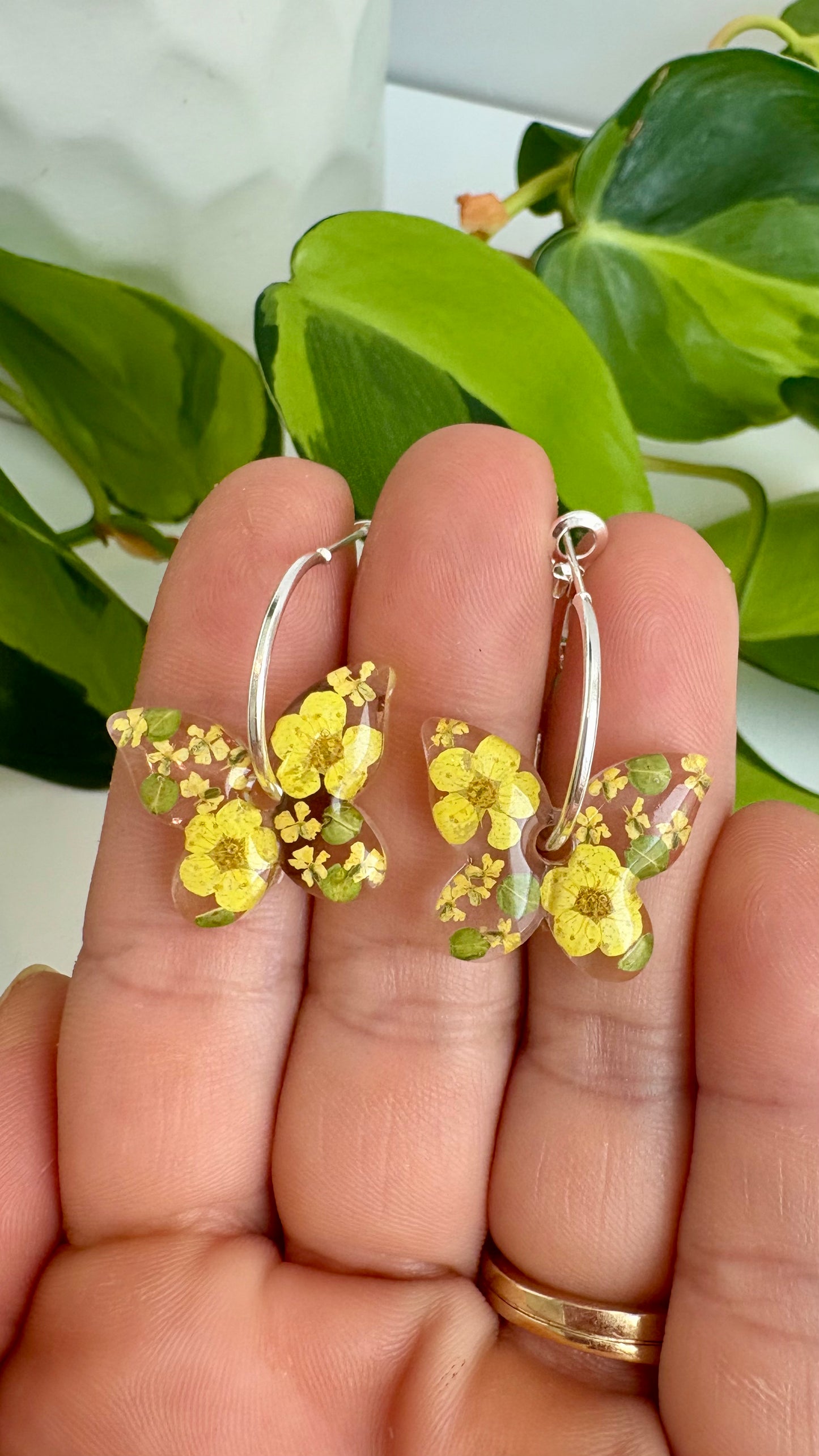 Butterfly Hoops