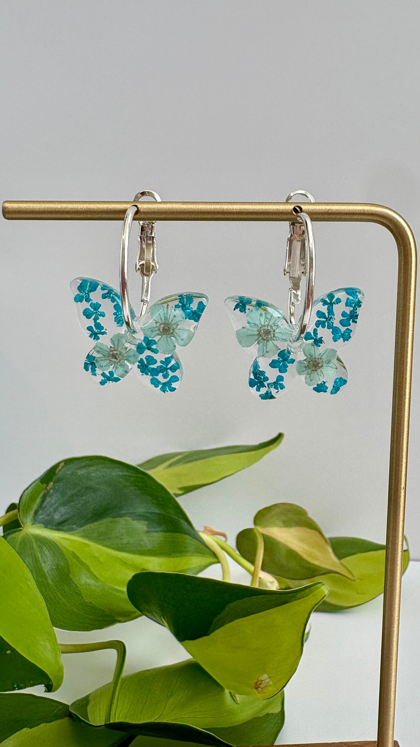 Butterfly Hoops